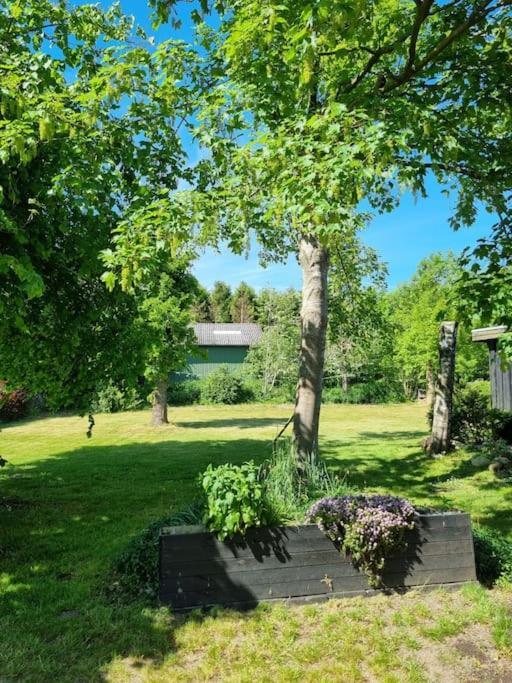 Willkommen In Frifelt Naehe Romo Mit Wunderschoenen Garten Skaerbaek Exterior photo